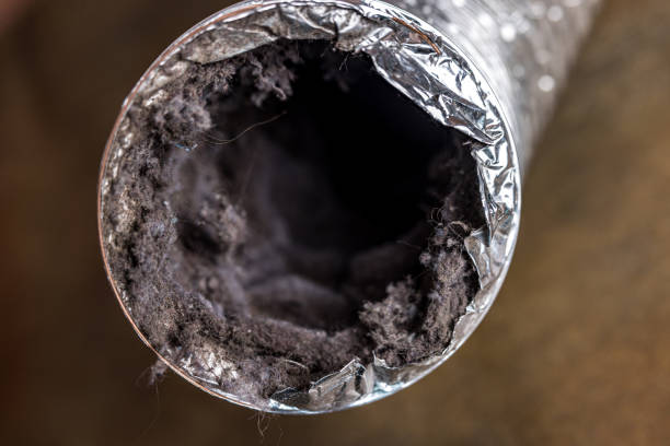 Best Affordable HVAC Duct Cleaning  in Benld, IL